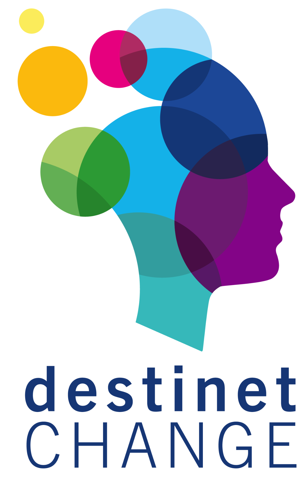 Logo destinetCHANGE